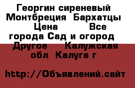 Георгин сиреневый. Монтбреция. Бархатцы.  › Цена ­ 100 - Все города Сад и огород » Другое   . Калужская обл.,Калуга г.